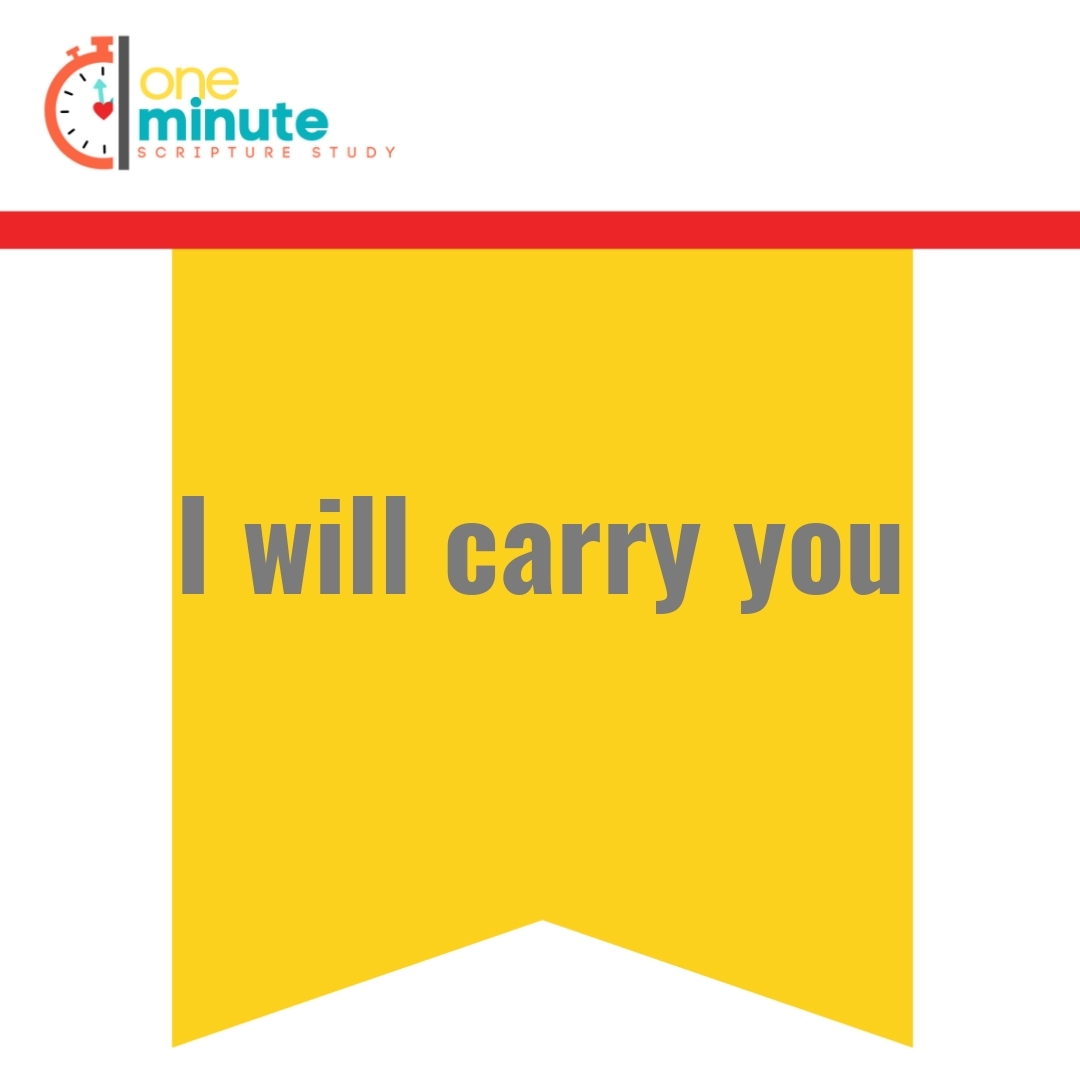 Read more about the article I will carry you
