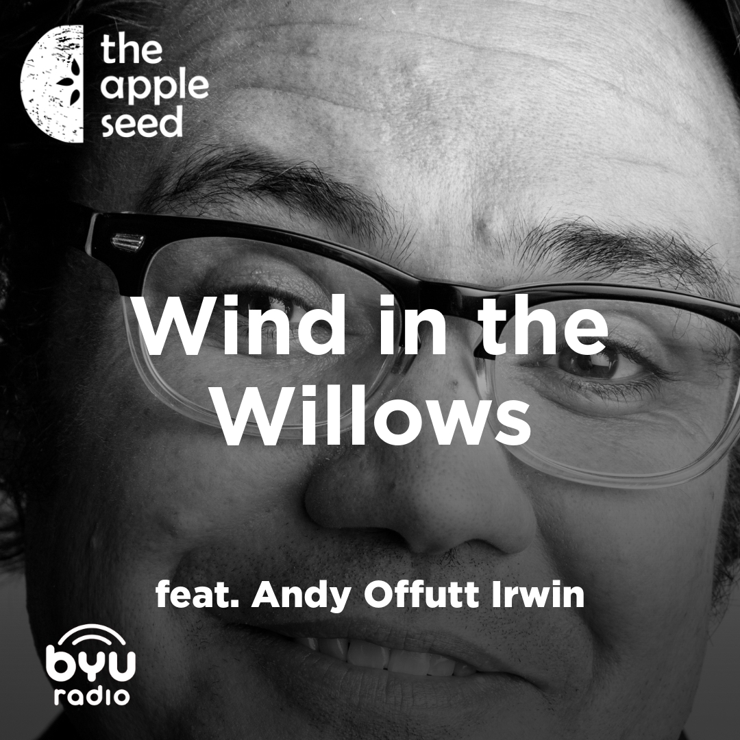 Read more about the article Wind in the Willows