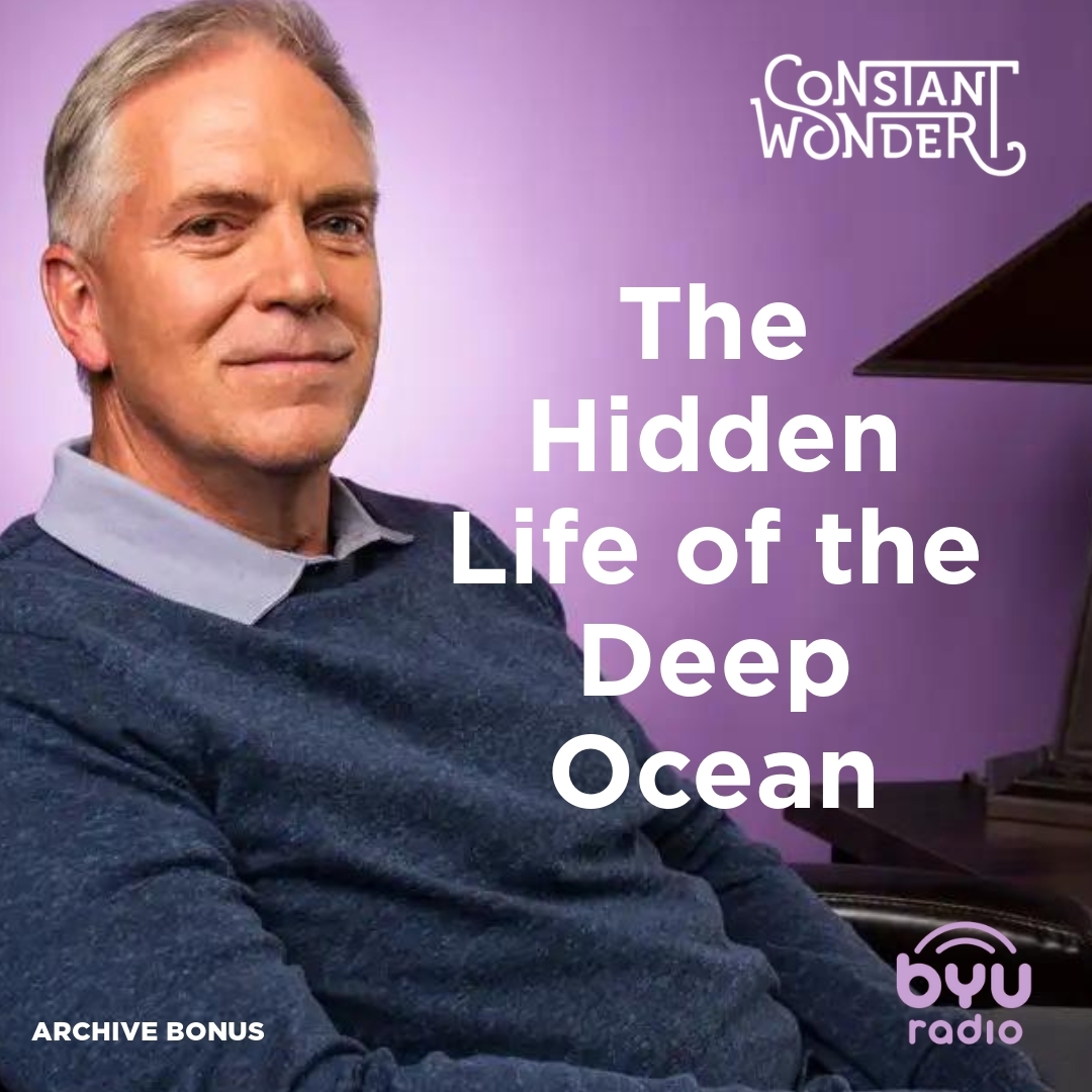Read more about the article The Hidden Life of the Deep Ocean