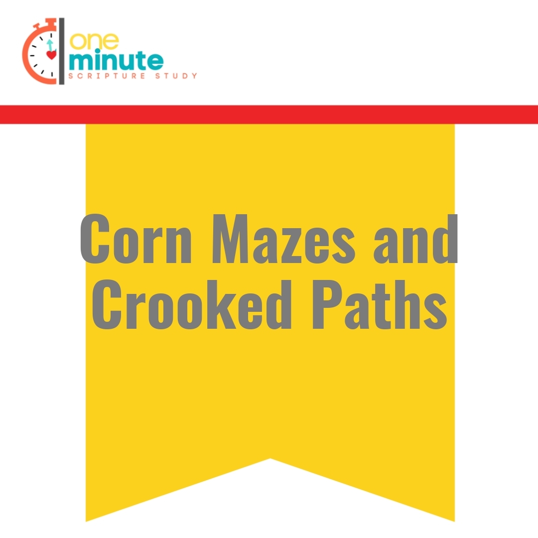 Read more about the article Corn Mazes and Crooked Paths
