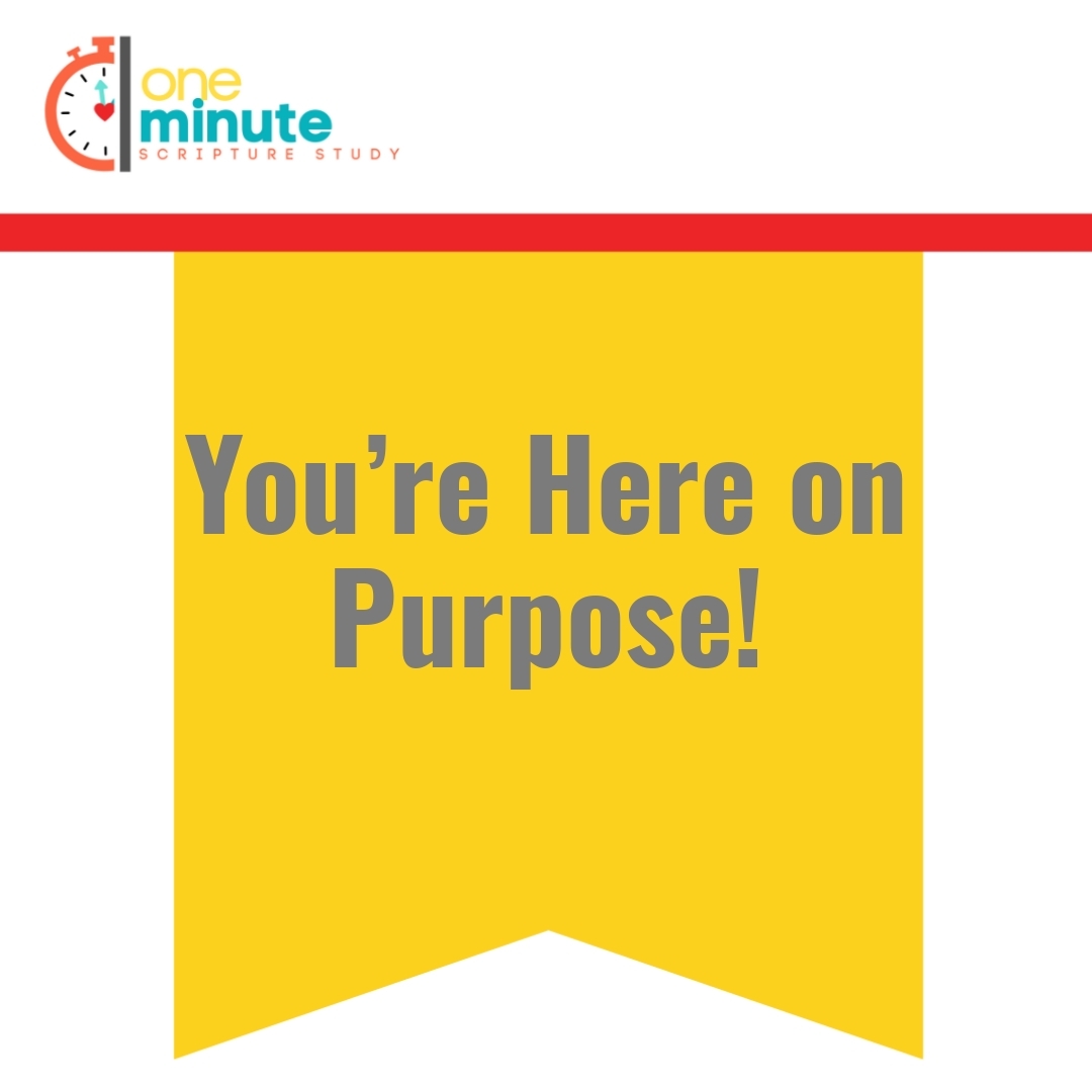 Read more about the article You’re Here on Purpose!