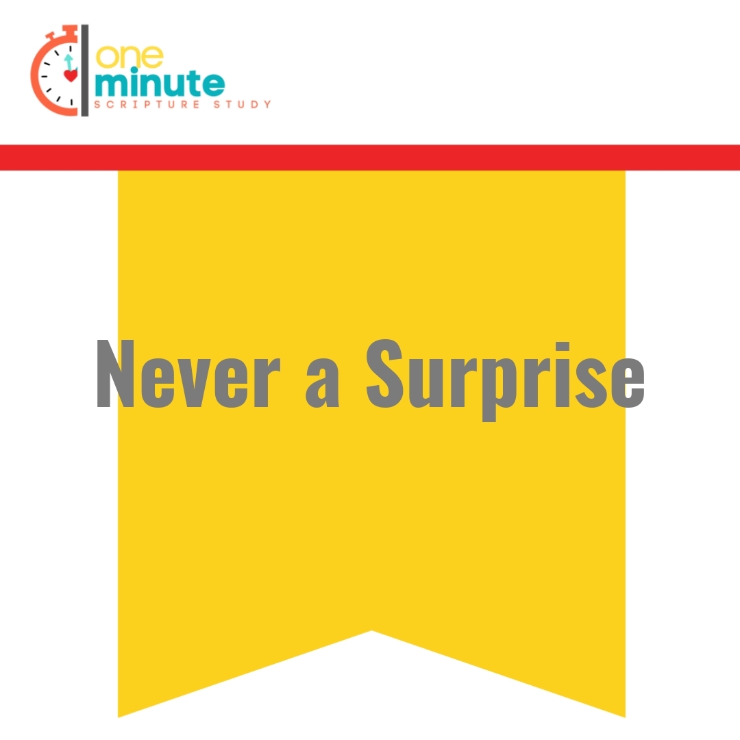 Read more about the article Never a Surprise