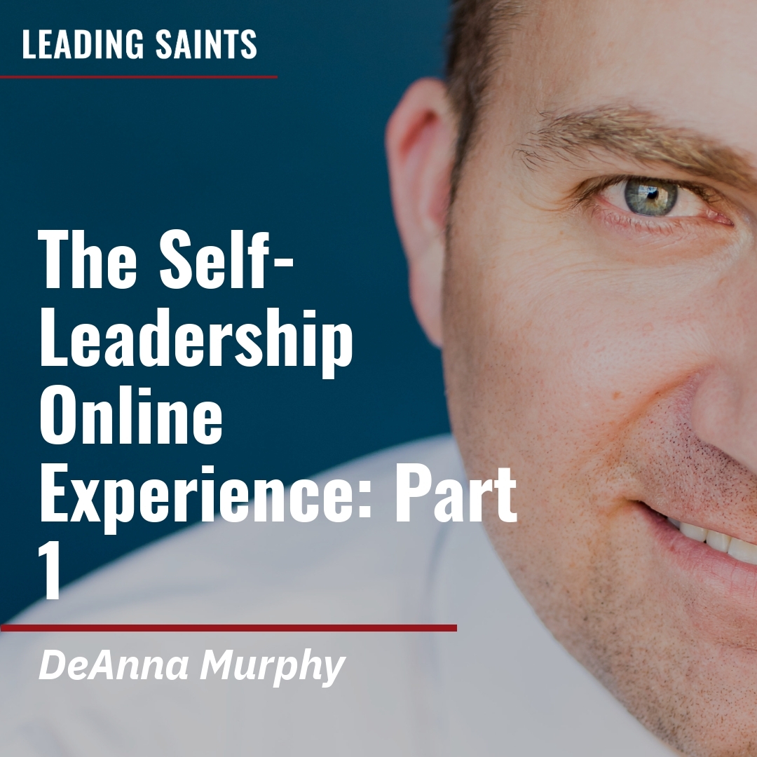 Read more about the article The Self-Leadership Online Experience: Part 1
