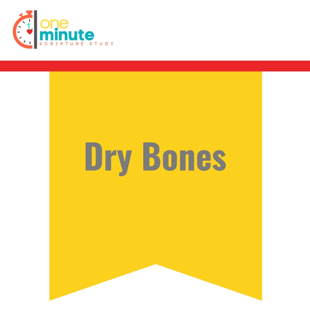 Read more about the article Dry Bones