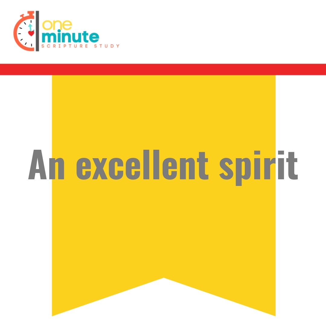 Read more about the article An excellent spirit