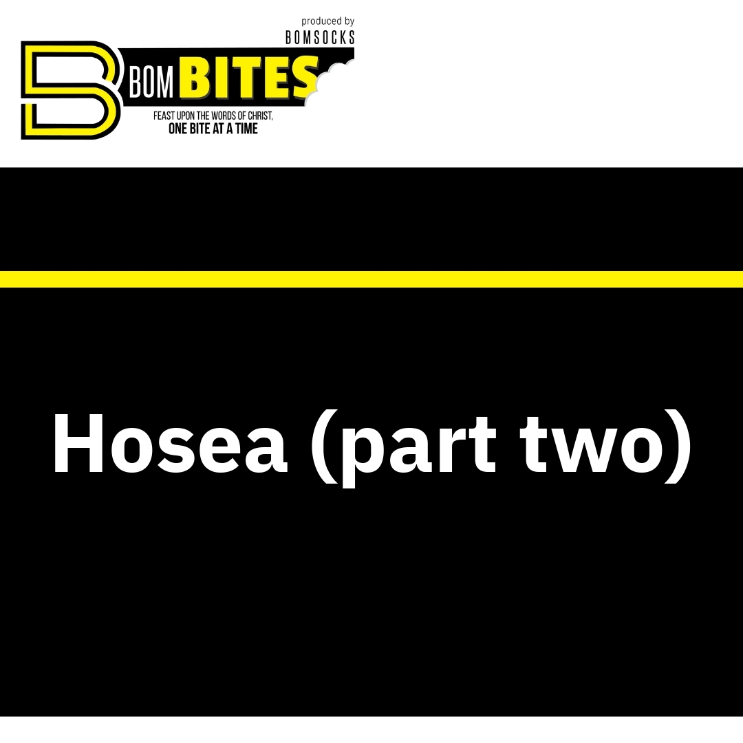 Read more about the article Hosea (part two)