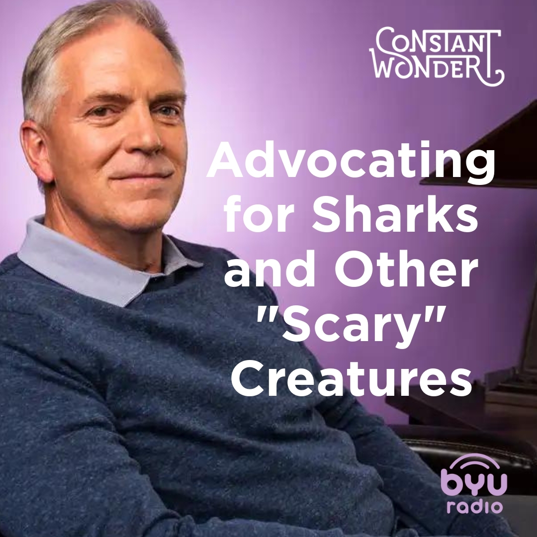 Read more about the article Advocating for Sharks and Other “Scary” Creatures