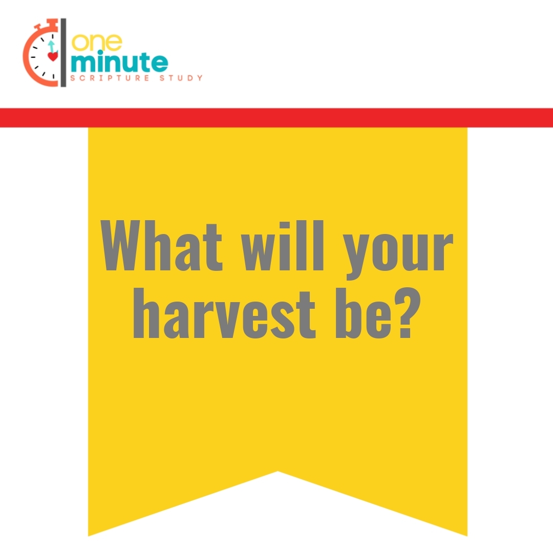 Read more about the article What will your harvest be?