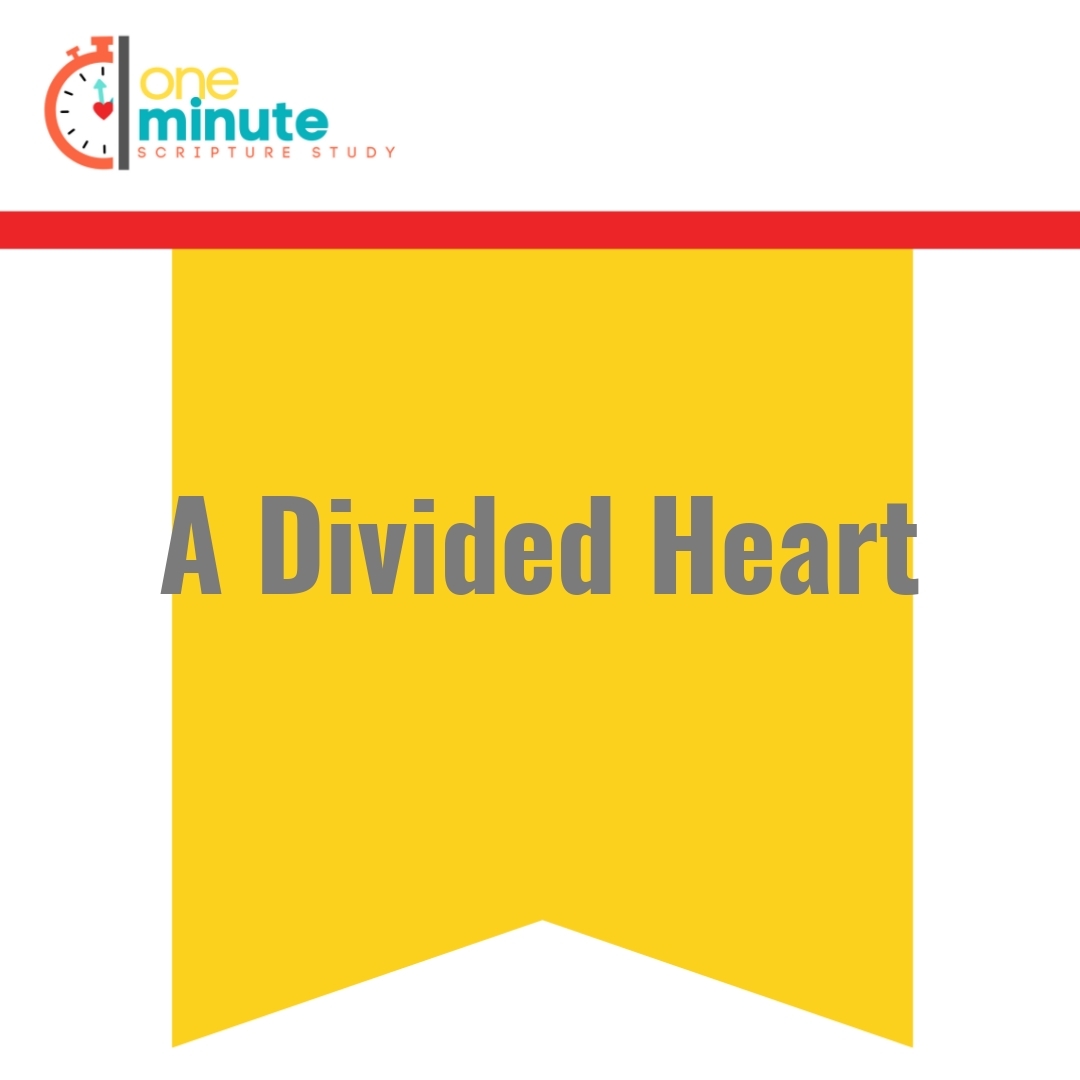 Read more about the article A Divided Heart