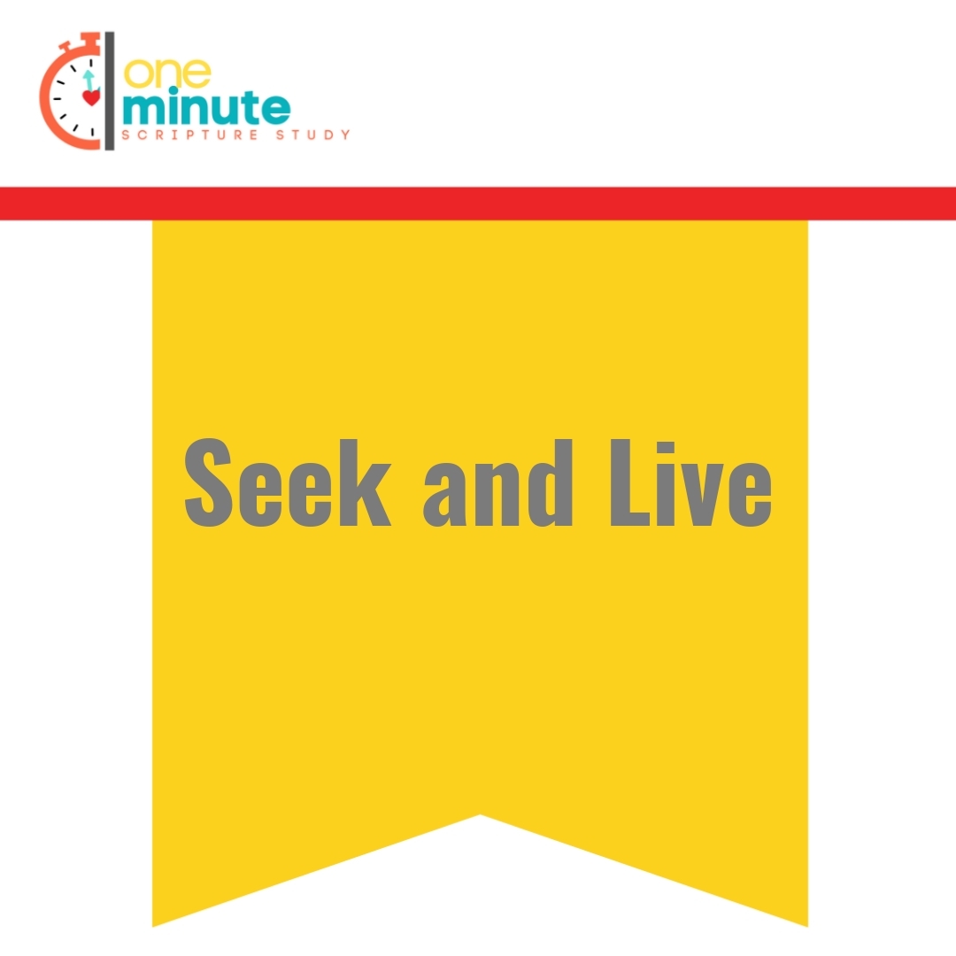 Read more about the article Seek and Live