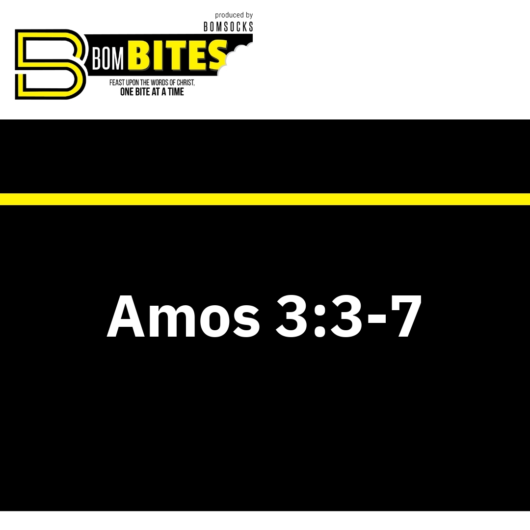 Read more about the article Amos 3:3-7