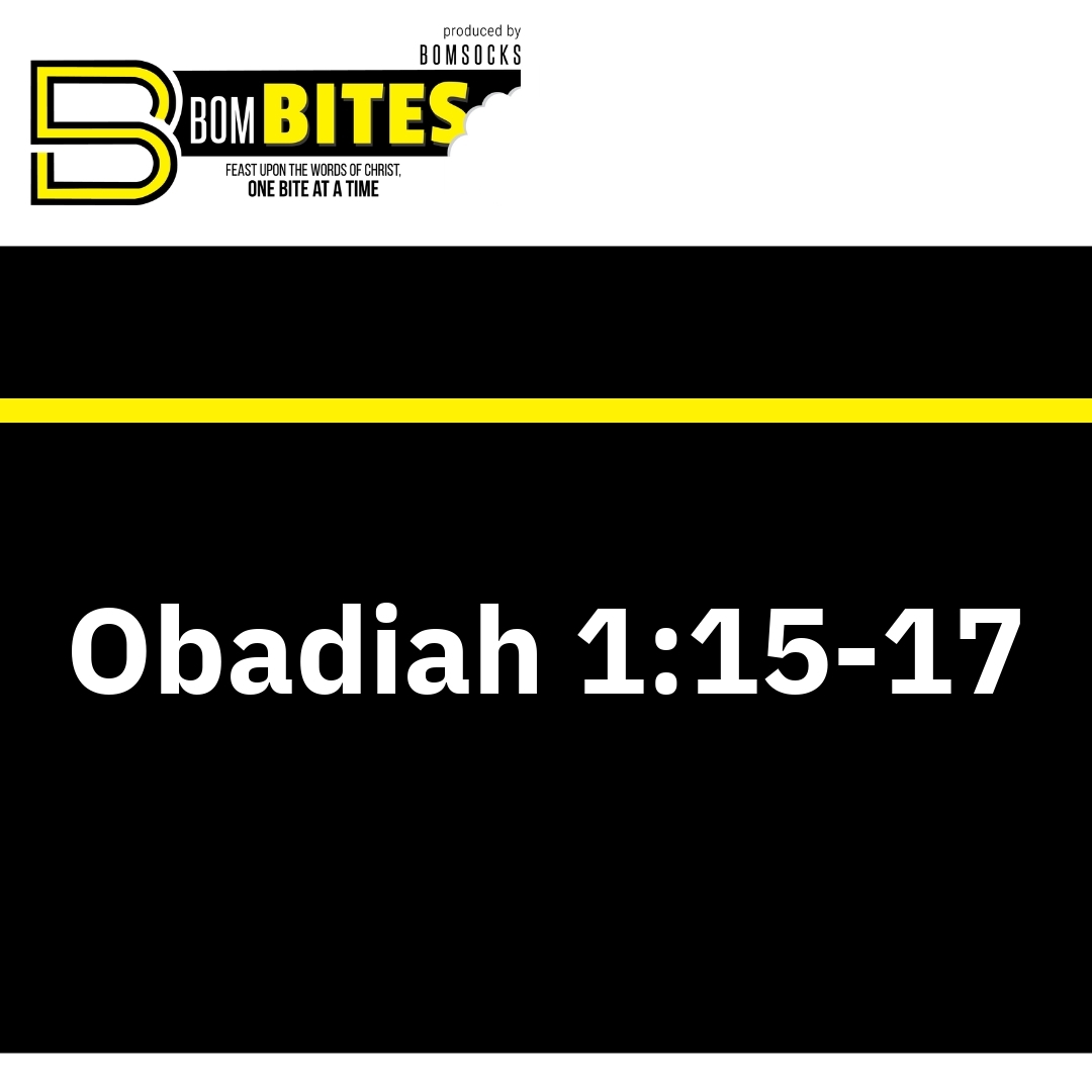 Read more about the article Obadiah 1:15-17