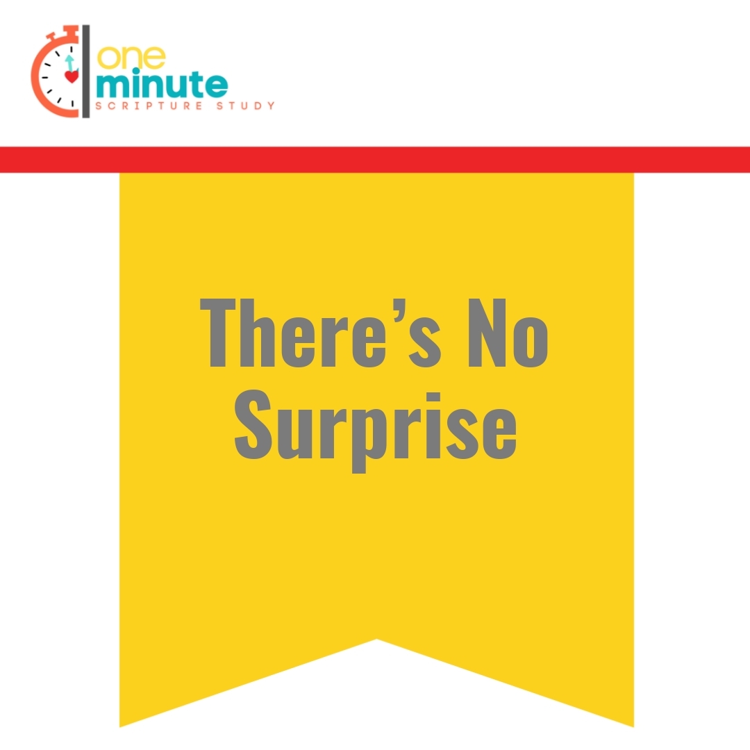 Read more about the article There’s No Surprise