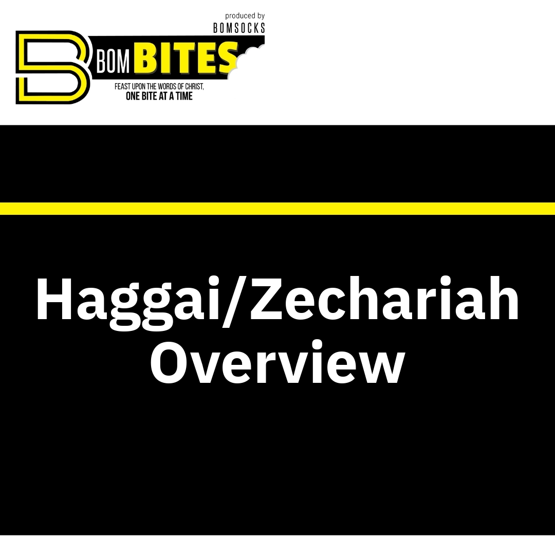 Read more about the article Haggai/Zechariah Overview