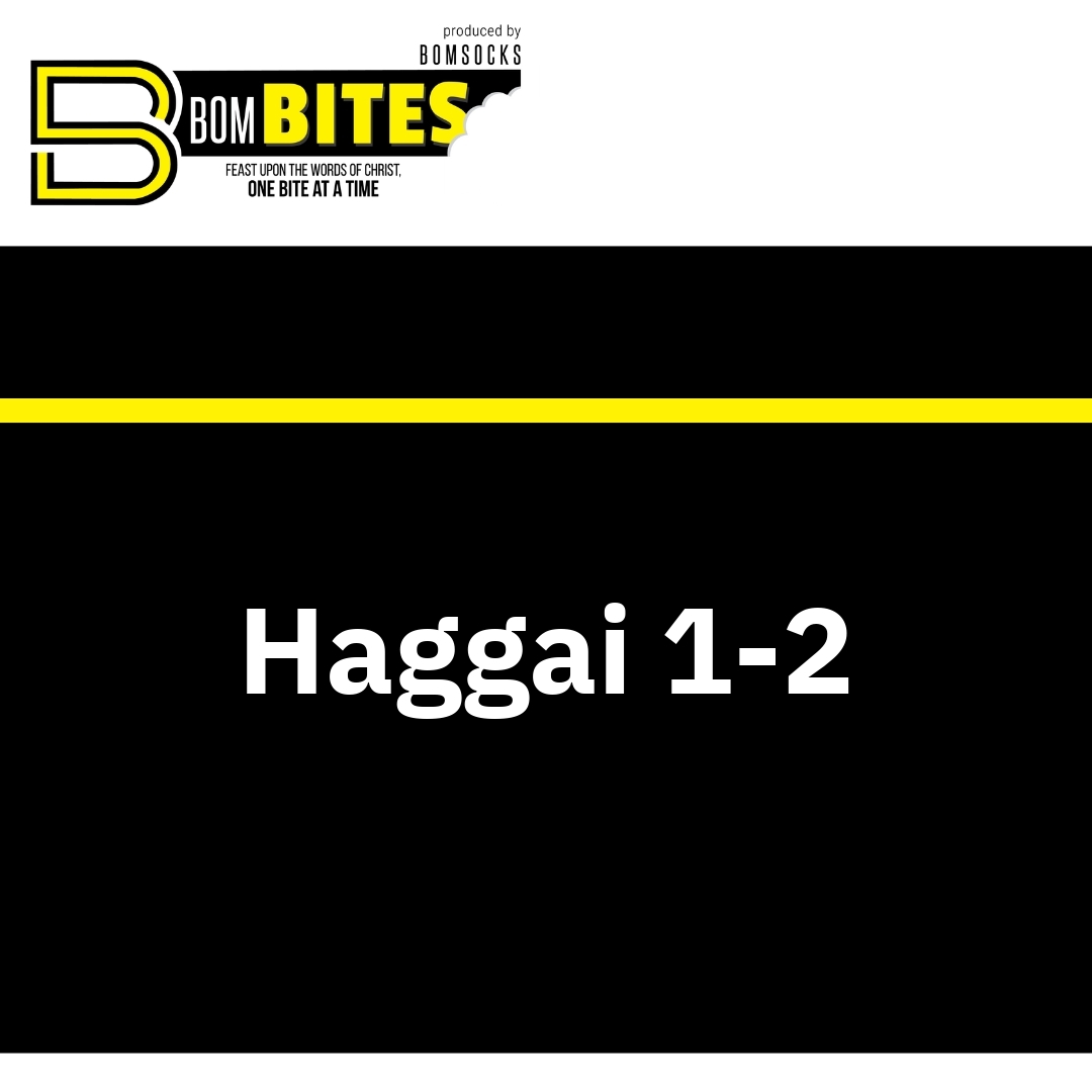 Read more about the article Haggai 1-2