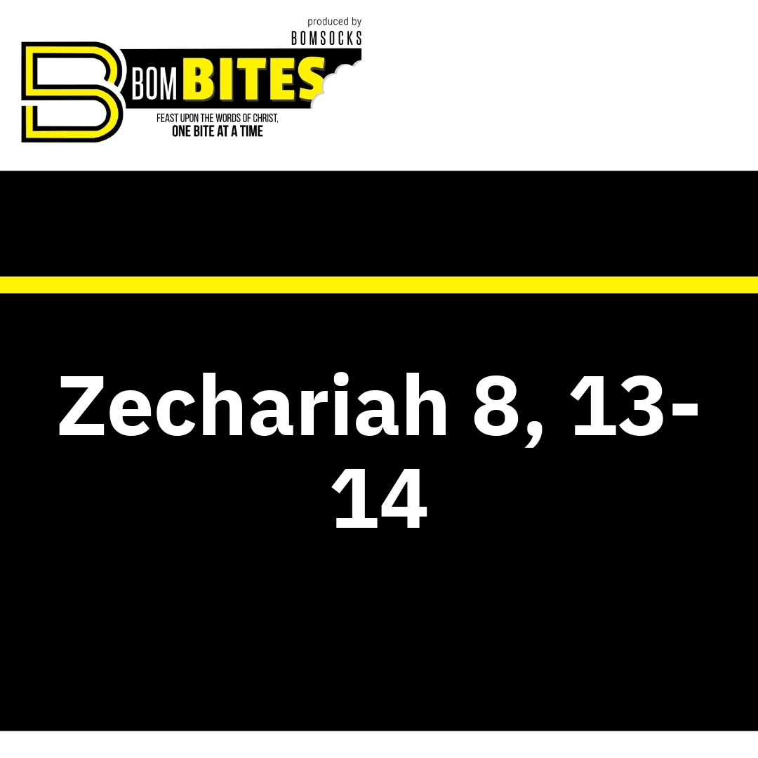 Read more about the article Zechariah 8, 13-14