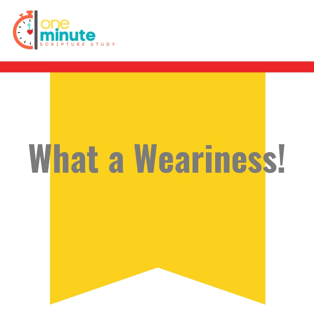 Read more about the article What a Weariness!