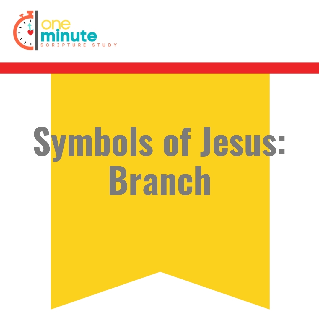 Read more about the article Symbols of Jesus: Branch