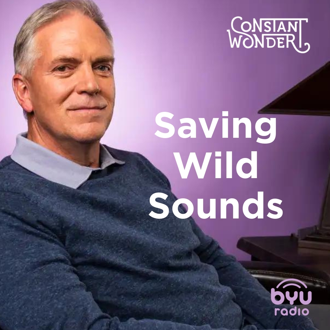 Read more about the article Saving Wild Sounds