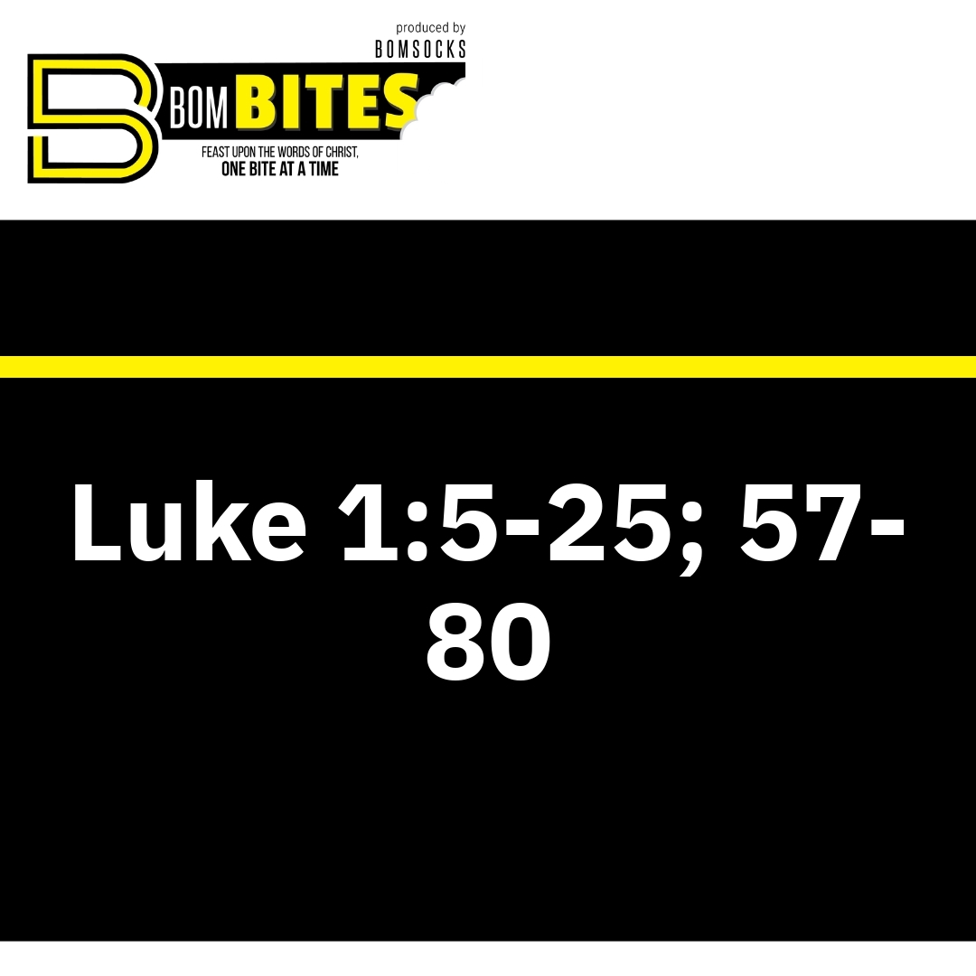 Read more about the article Luke 1:5-25; 57-80