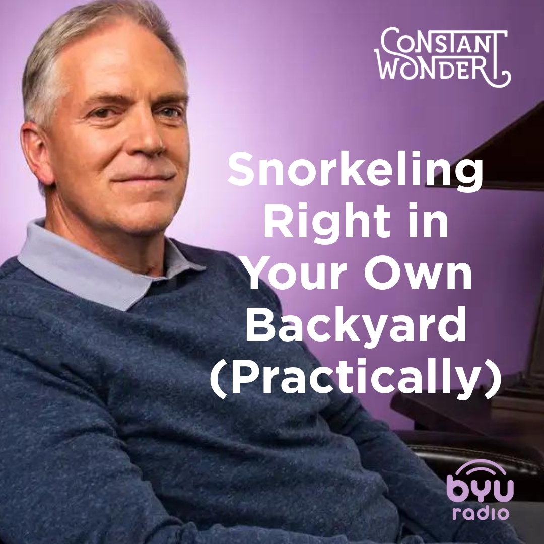 Read more about the article Snorkeling Right in Your Own Backyard (Practically)