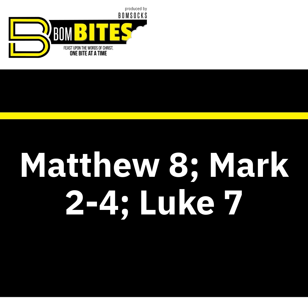 Read more about the article Matthew 8; Mark 2-4; Luke 7