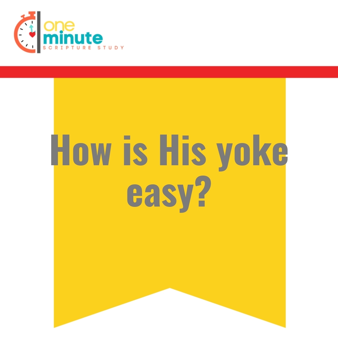 Read more about the article How is His yoke easy?