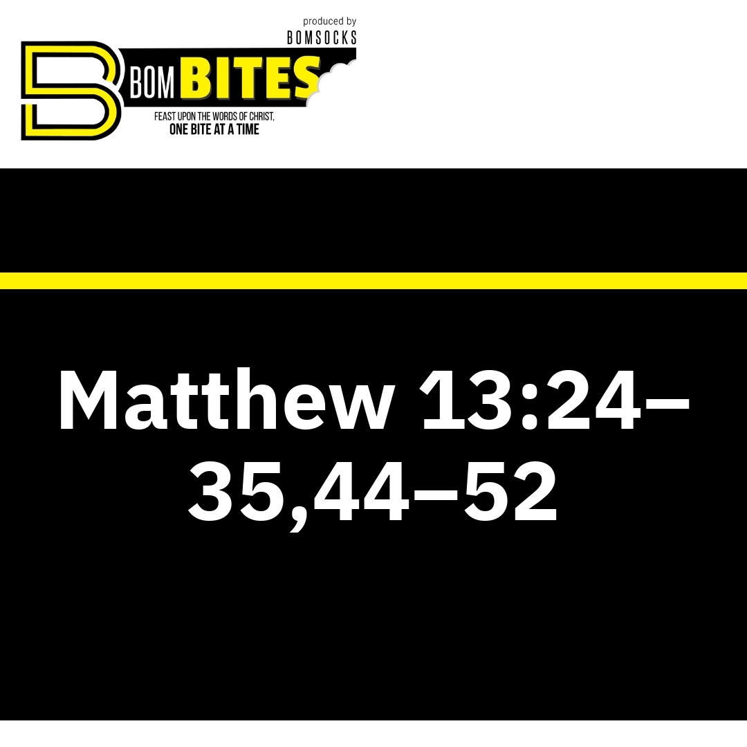 Read more about the article Matthew 13:24–35,44–52