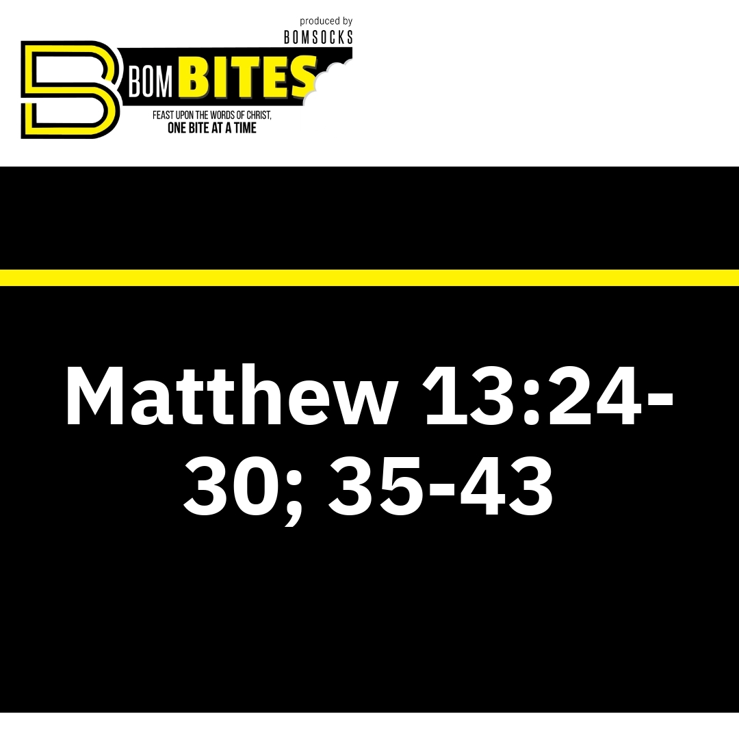Read more about the article Matthew 13:24-30; 35-43
