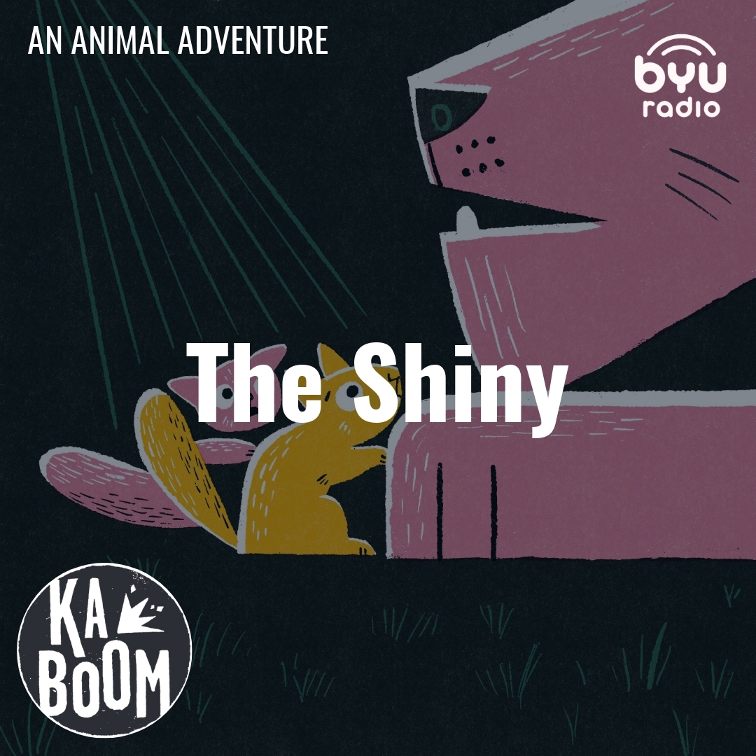 Read more about the article The Shiny