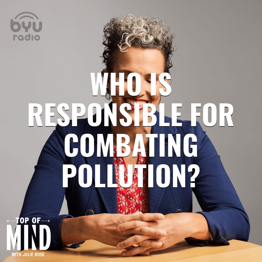 Read more about the article Who is Responsible for Combating Pollution?