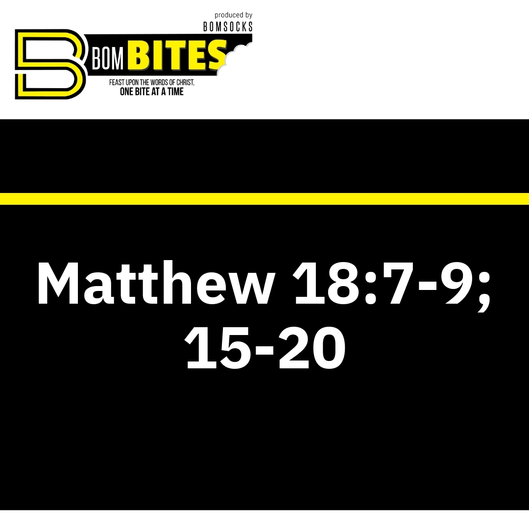 Read more about the article Matthew 18:7-9; 15-20