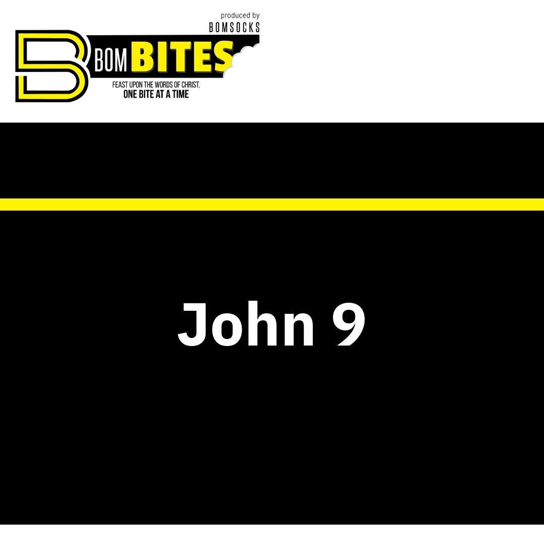 Read more about the article John 9