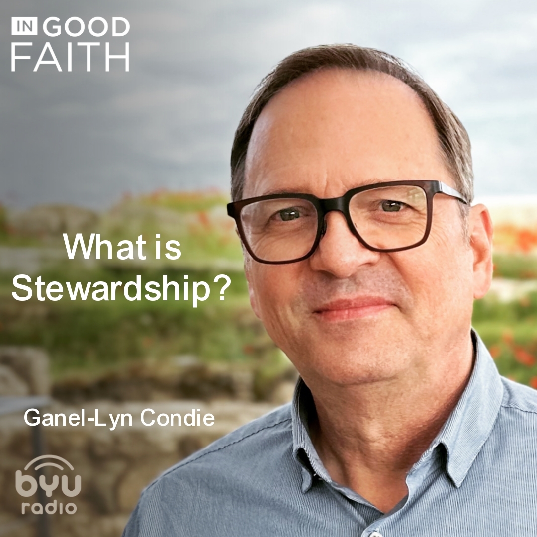 Read more about the article What is Stewardship?