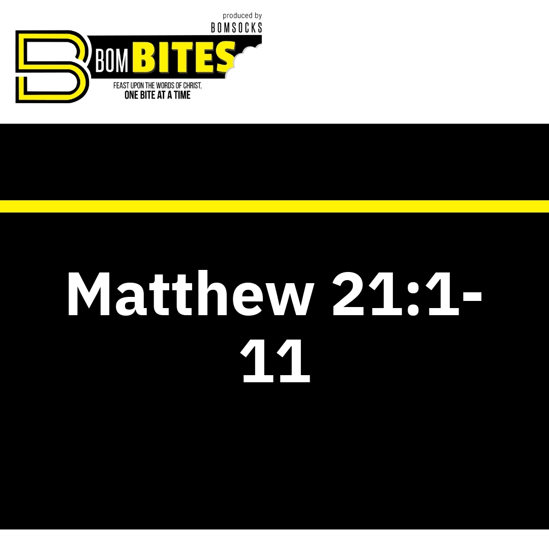 Read more about the article Matthew 21:1-11