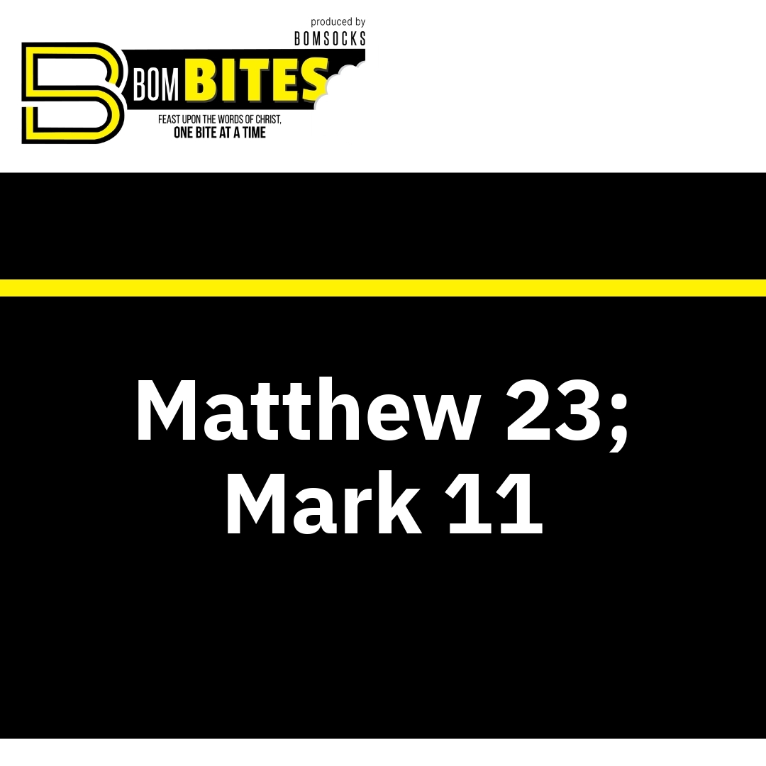 Read more about the article Matthew 23; Mark 11