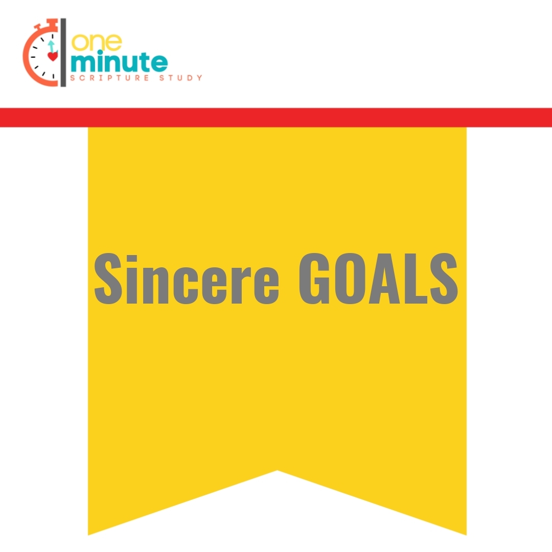 Read more about the article Sincere GOALS