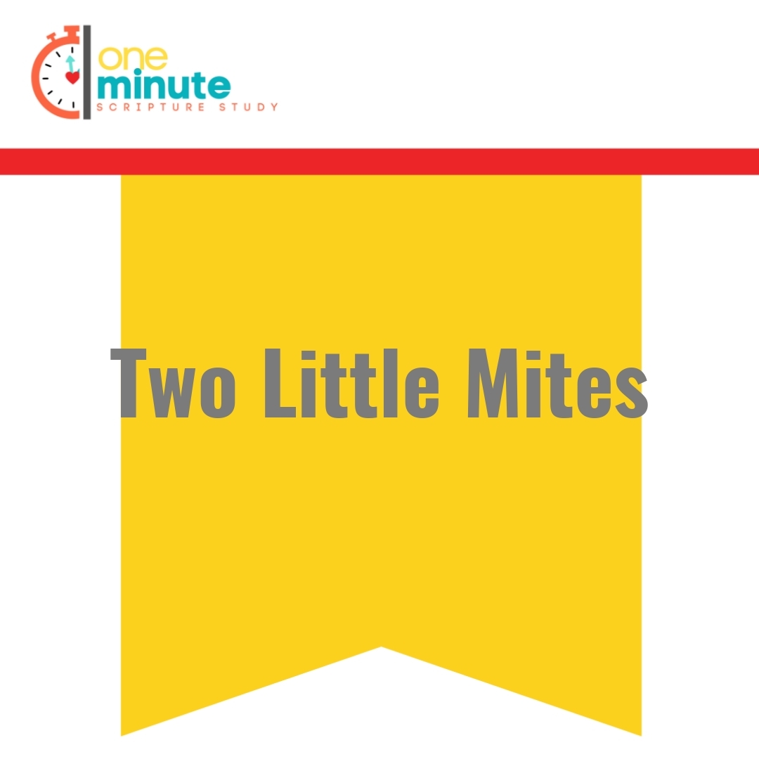 Read more about the article Two Little Mites