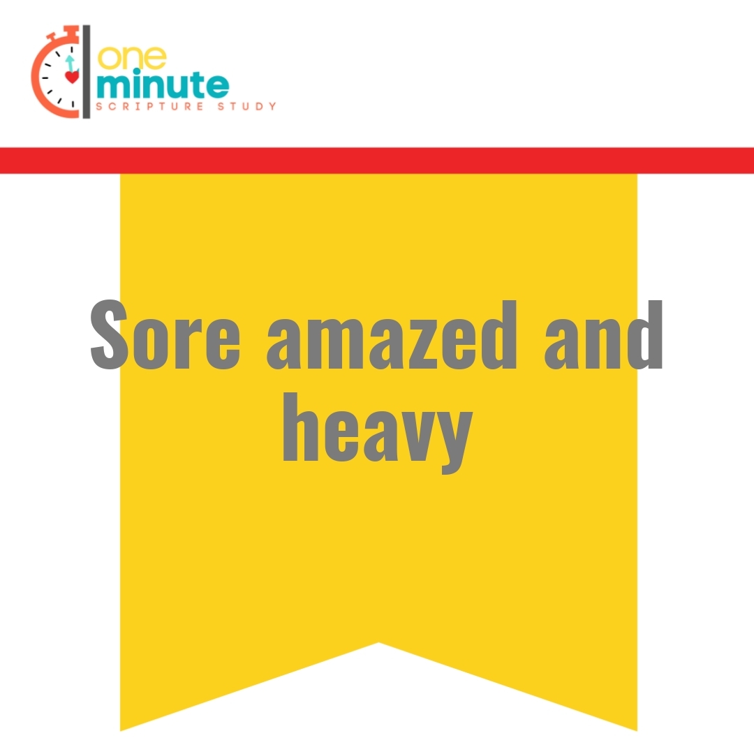 Read more about the article Sore amazed and heavy