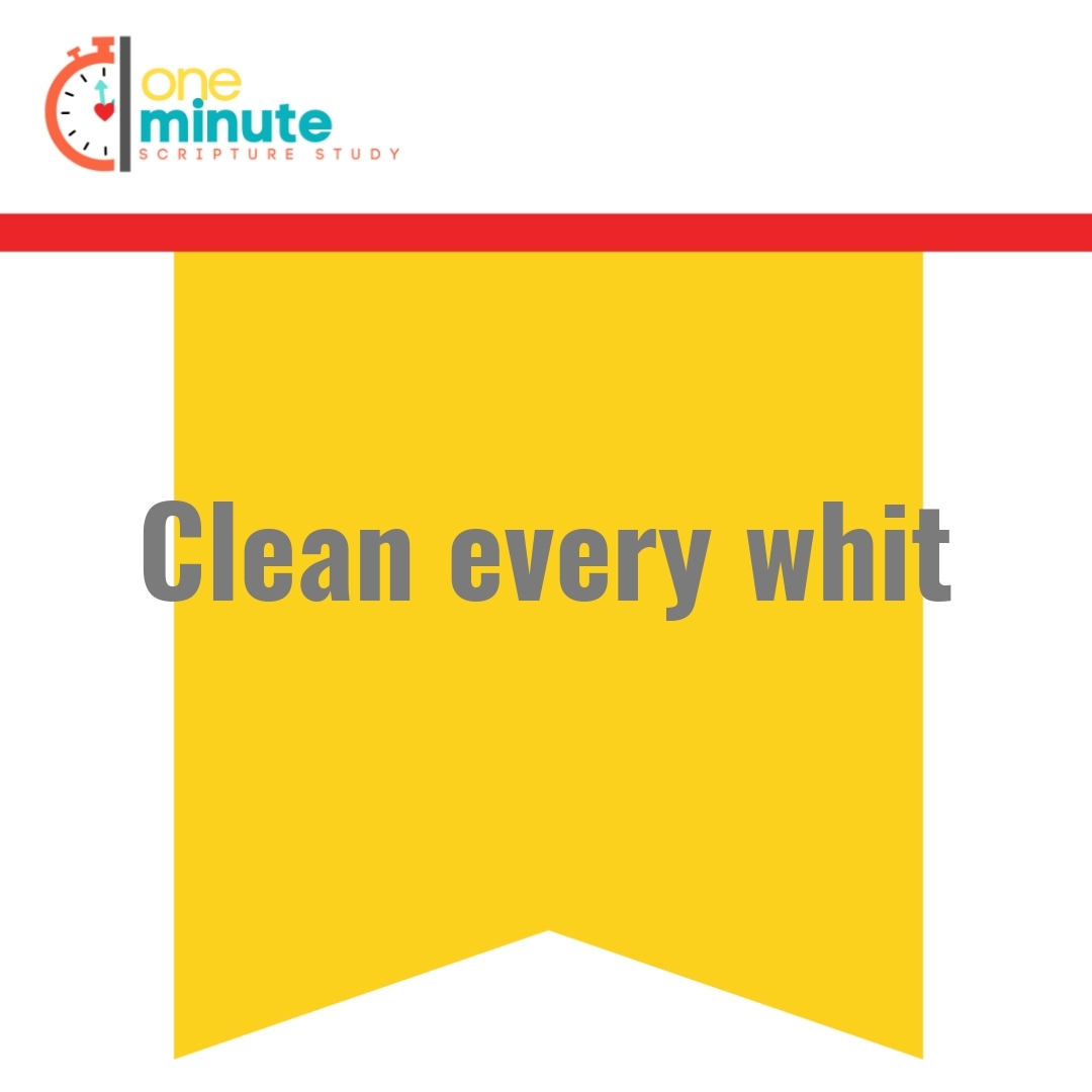 Read more about the article Clean every whit