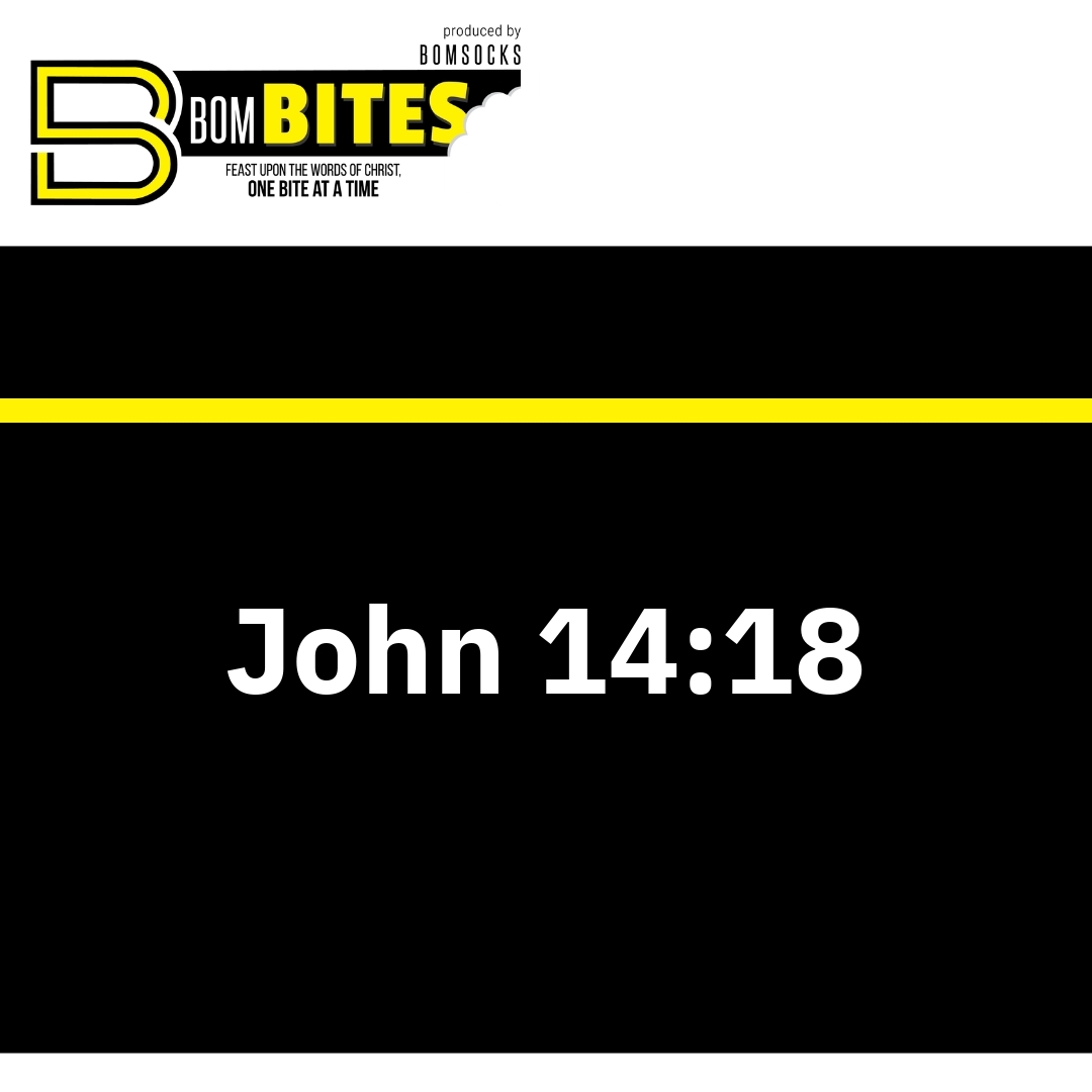Read more about the article John 14:18