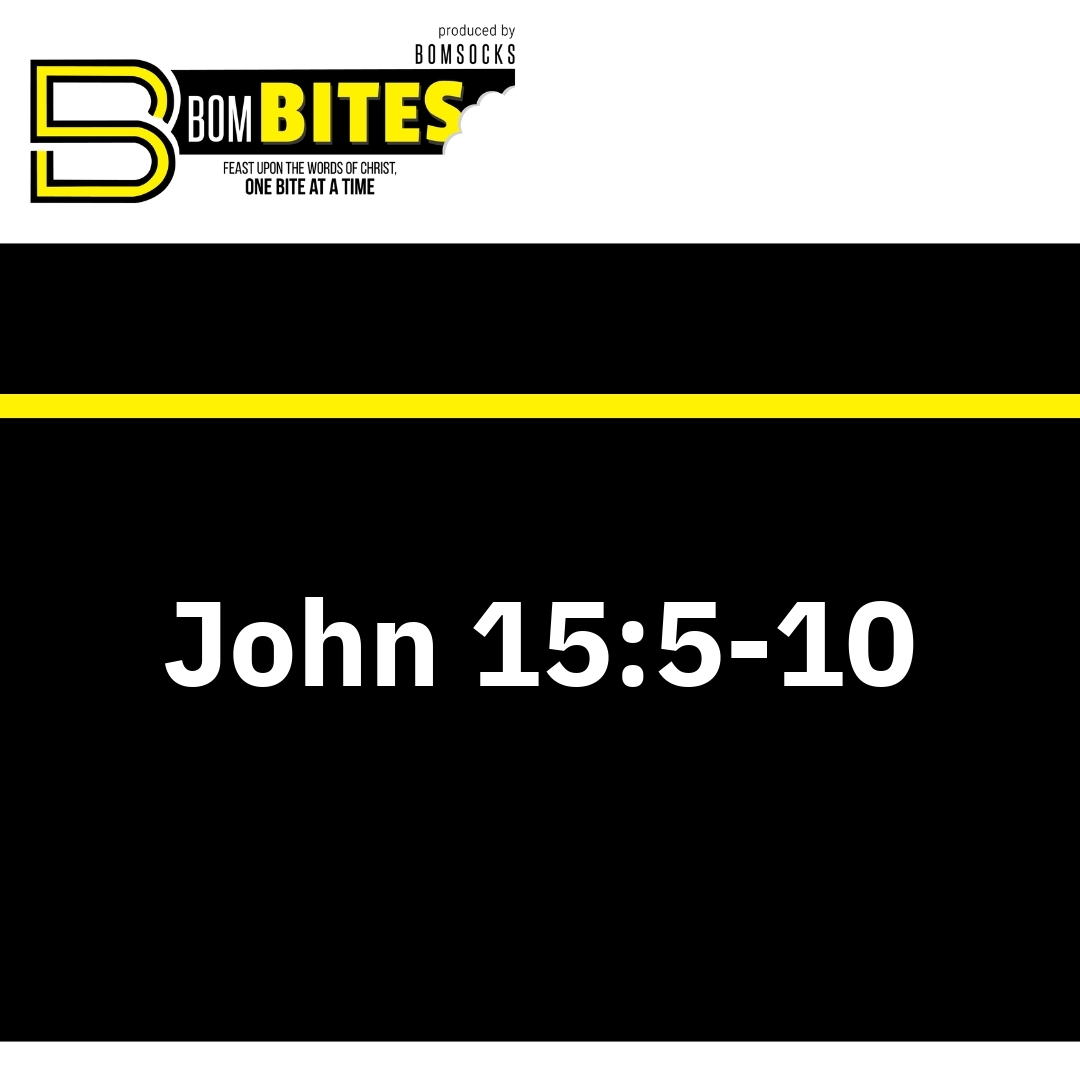 Read more about the article John 15:5-10
