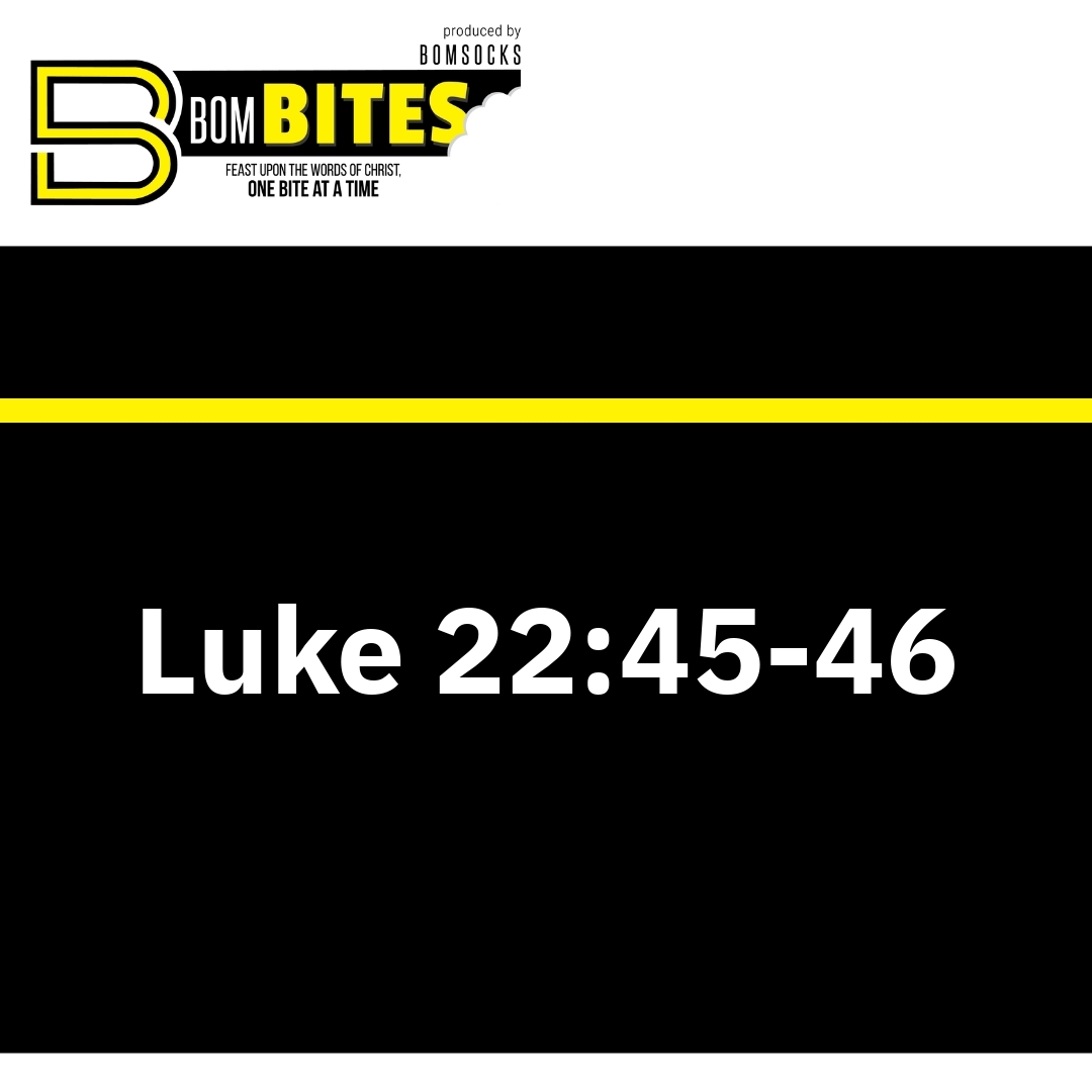 Read more about the article Luke 22:45-46
