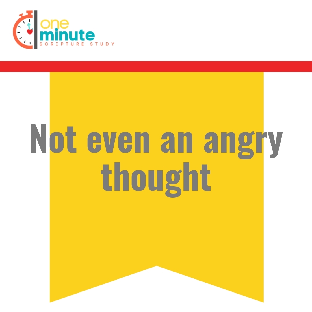 Read more about the article Not even an angry thought