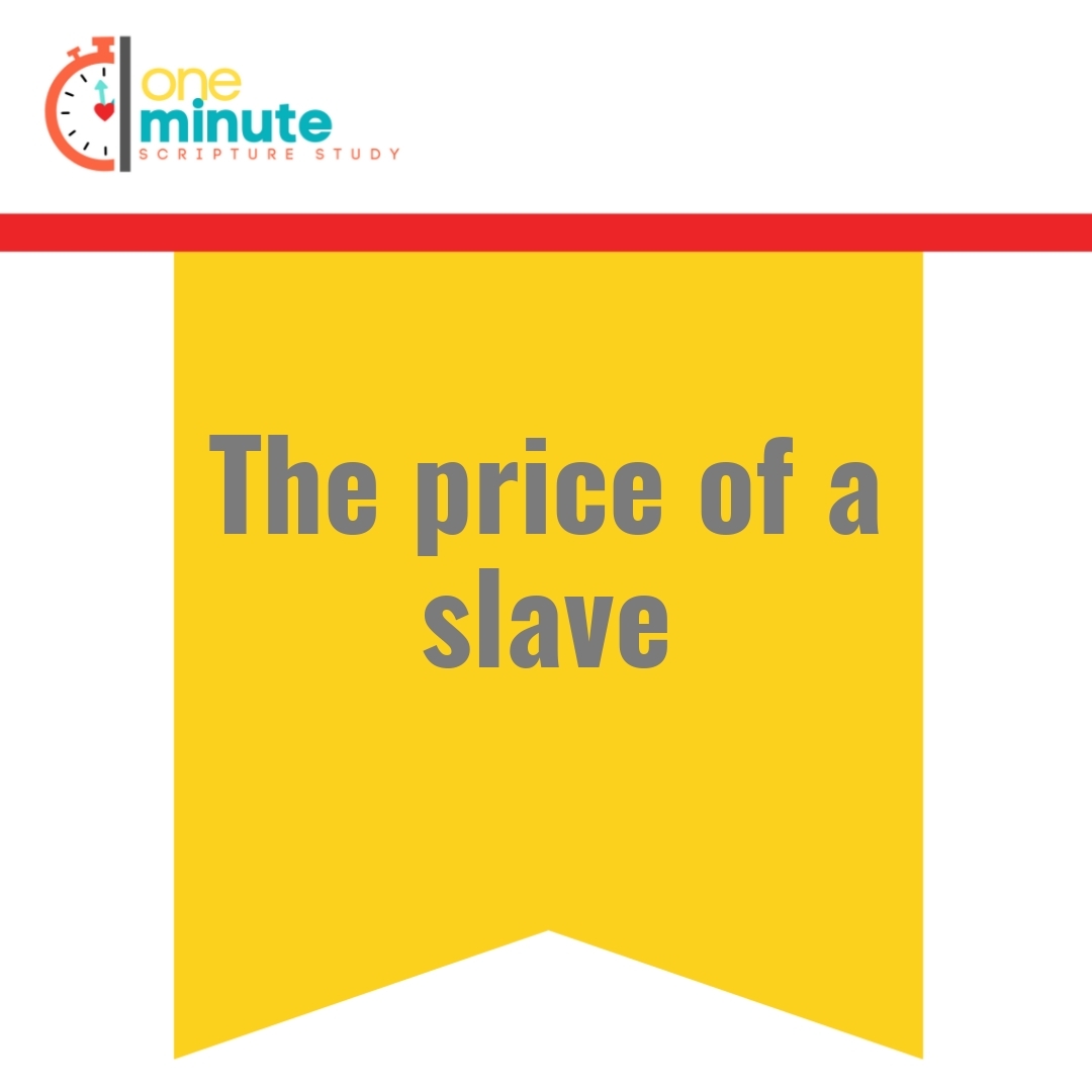 Read more about the article The price of a slave