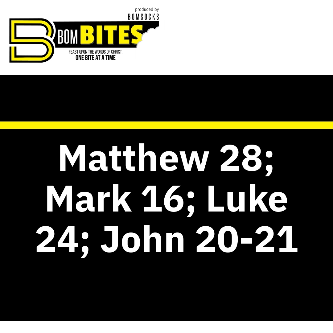 Read more about the article Matthew 28; Mark 16; Luke 24; John 20-21