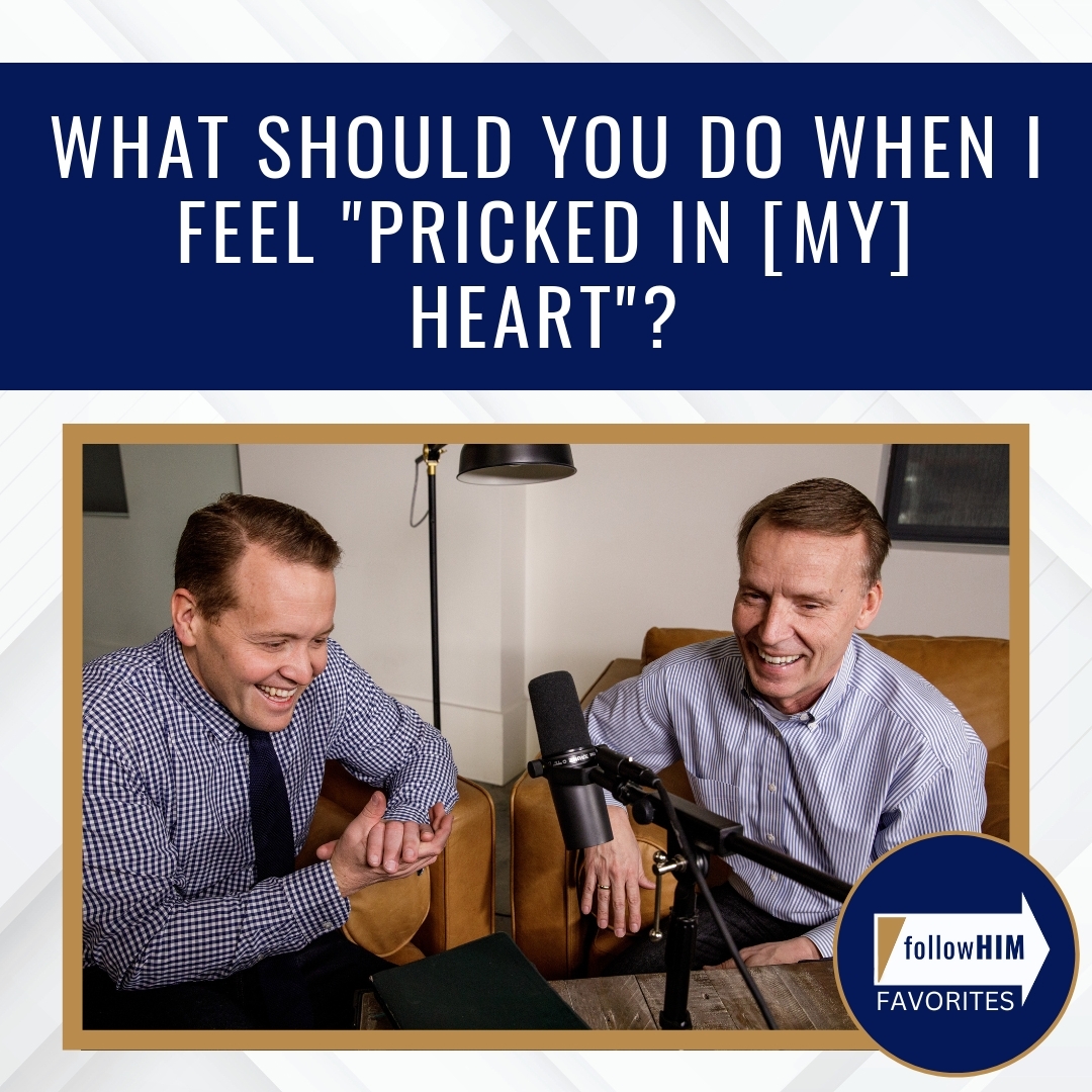 Read more about the article What should you do when I feel “Pricked in [my] heart”?