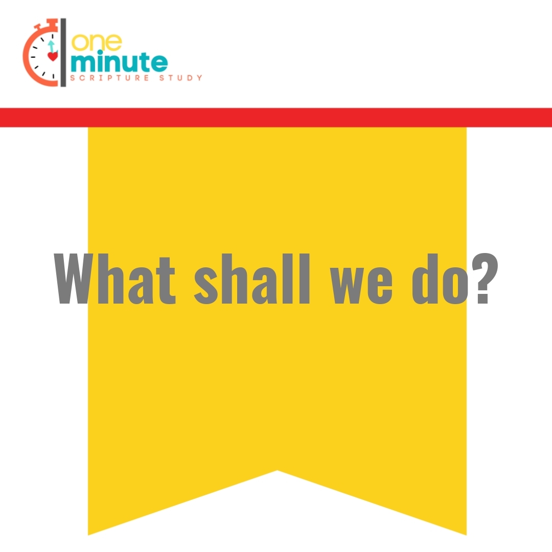 Read more about the article What shall we do?