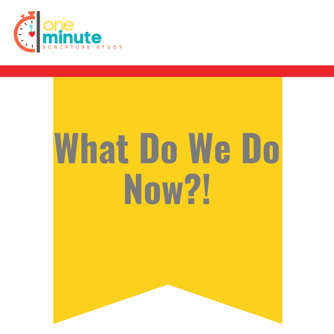 Read more about the article What Do We Do Now?!