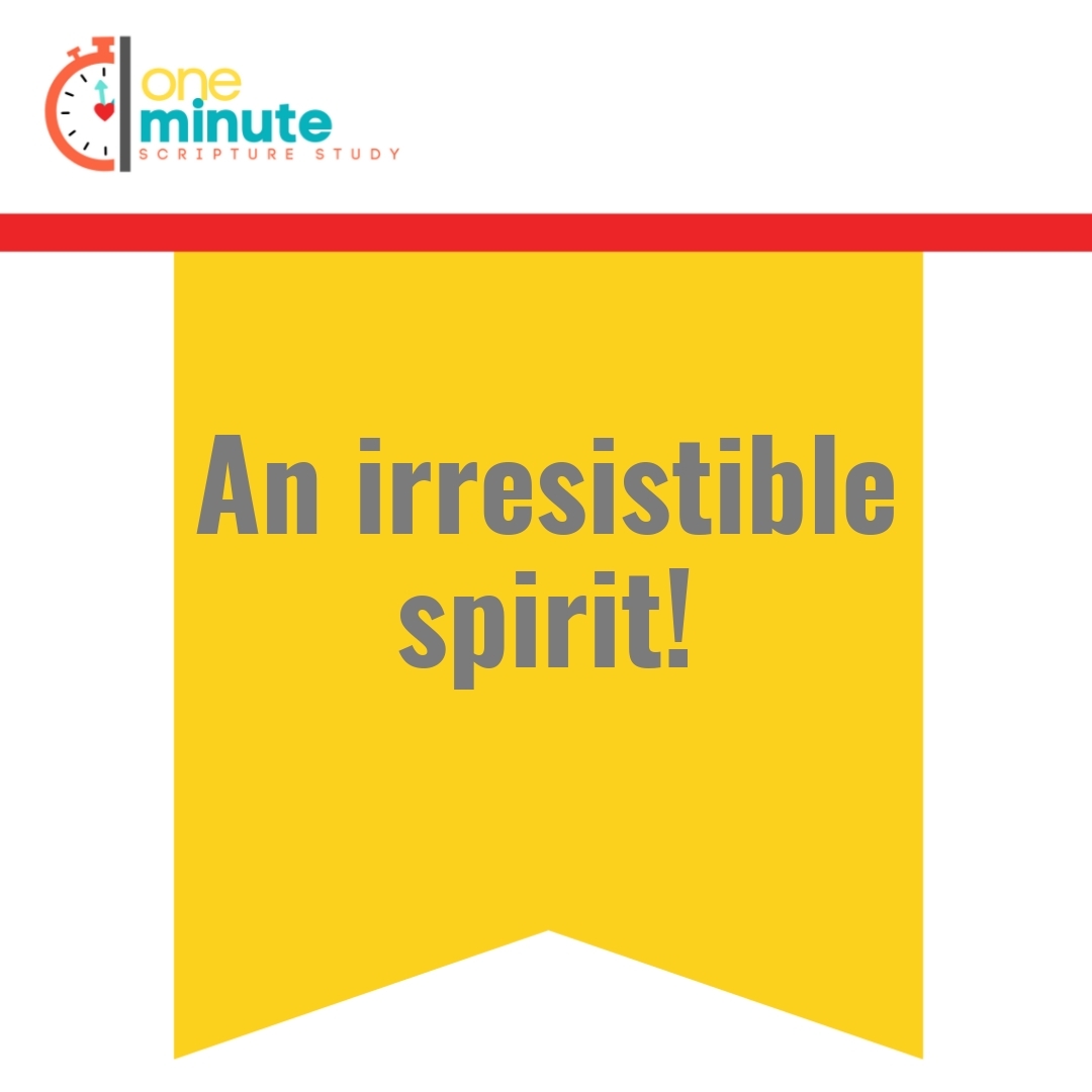 Read more about the article An irresistible spirit!